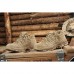 Купить Ботинки "TROOPER SQUAD 2.5" Coyote от производителя Sturm Mil-Tec® в интернет-магазине alfa-market.com.ua  