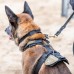Купити Шлея для собаки 5.11 Tactical® "Aros K9 Harness" від виробника 5.11 Tactical® в інтернет-магазині alfa-market.com.ua  