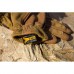 Купити Рукавички польові стрілецькі "FFG" (Frogman field gloves) від виробника P1G® в інтернет-магазині alfa-market.com.ua  