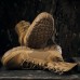 Купить Ботинки Oakley® "Light Assault Boot 2" Coyote от производителя Oakley® в интернет-магазине alfa-market.com.ua  