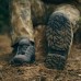 Купить Ботинки тактические "LOWA® Maddox GTX® LO TF" Ranger Green от производителя LOWA® в интернет-магазине alfa-market.com.ua  