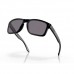 Купить Очки защитные Oakley® "SI Holbrook™ (Matte Black; Prizm Grey Polarized)" Prizm Grey Polarized от производителя Oakley® в интернет-магазине alfa-market.com.ua  