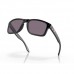 Купить Очки защитные Oakley® "SI Holbrook™ USA Flag (Matte Black; Prizm Grey)" Prizm Grey от производителя Oakley® в интернет-магазине alfa-market.com.ua  