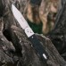 Купить Нож складной Ganzo® "G767" Black от производителя Ganzo® в интернет-магазине alfa-market.com.ua  