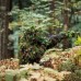 Купить Набор для маскировки Sturm Mil-Tec® "All-purpose Camouflage Pack" Multi от производителя Sturm Mil-Tec® в интернет-магазине alfa-market.com.ua  