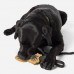 Купить Игрушка для собаки 5.11 Tactical® "Mission Ready™ Grenadier Dog Tug Toy" Tan от производителя 5.11 Tactical® в интернет-магазине alfa-market.com.ua  