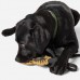 Купить Игрушка для собаки 5.11 Tactical® "Mission Ready™ Grenadier Dog Tug Toy" Tan от производителя 5.11 Tactical® в интернет-магазине alfa-market.com.ua  