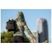 Купить Реглан с капюшоном женский 5.11 Tactical "PT-R Emily Full Zip" от производителя 5.11 Tactical® в интернет-магазине alfa-market.com.ua  