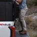 Купить Брюки тактические 5.11 Tactical® "Icon Pants" RANGER GREEN от производителя 5.11 Tactical® в интернет-магазине alfa-market.com.ua  