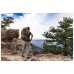 Купить Тактические брюки "5.11 ABR PRO PANT LARGE" RANGER GREEN от производителя 5.11 Tactical® в интернет-магазине alfa-market.com.ua  