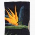 Купить Носки "5.11 Tactical® Sock & Awe Knife Paradise" Black от производителя 5.11 Tactical® в интернет-магазине alfa-market.com.ua  