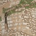 Купить Шорты полевые "ALTITUDE" Varan camo Pat.31143/31140 от производителя P1G® в интернет-магазине alfa-market.com.ua  