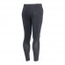 Купить Термокальсоны Accapi® "Polar Bear Men's Long Pants" Grey/Black от производителя Accapi® в интернет-магазине alfa-market.com.ua  