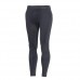 Купить Термокальсоны Accapi® "Polar Bear Men's Long Pants" Grey/Black от производителя Accapi® в интернет-магазине alfa-market.com.ua  