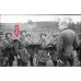 Купить Плащ-палатка M34 Вермахт/Люфтваффе Реплика (под заказ) Камуфляж Вермахту от производителя Sturm Mil-Tec® Reenactment в интернет-магазине alfa-market.com.ua  