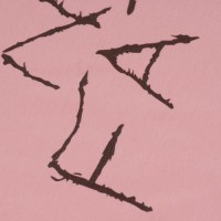 Футболка с рисунком "No Fate" Dianthus