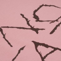 Футболка с рисунком "No Fate" Dianthus