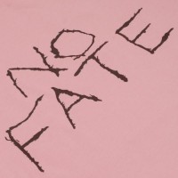 Футболка с рисунком "No Fate" Dianthus