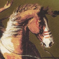 Футболка с рисунком "Chief" Olive Drab