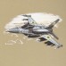 Купить Футболка c рисунком "F-16" Tan 499 от производителя P1G® в интернет-магазине alfa-market.com.ua  