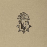 Футболка с рисунком "NGU Logo" Tan 499