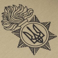 Футболка с рисунком "NGU Logo" Tan 499