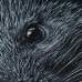 Купить Футболка с рисунком "Porcupine" Combat Black от производителя P1G® в интернет-магазине alfa-market.com.ua  
