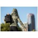 Купить Реглан с капюшоном женский 5.11 Tactical "PT-R Emily Full Zip" Black от производителя 5.11 Tactical® в интернет-магазине alfa-market.com.ua  